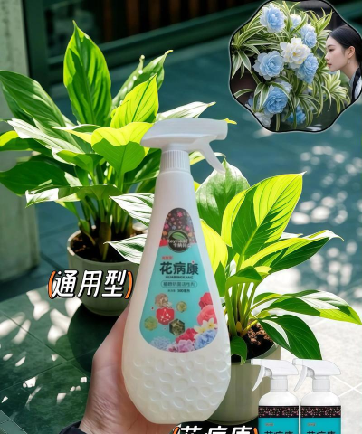 家庭养花用生根粉