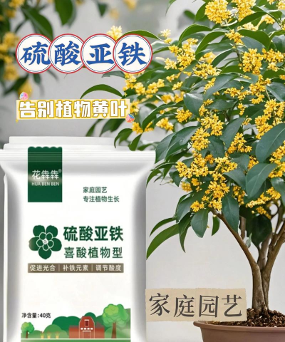 家庭养花用生根粉