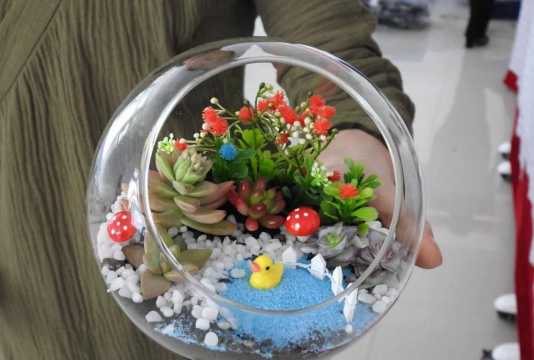 海藻泥可以养花