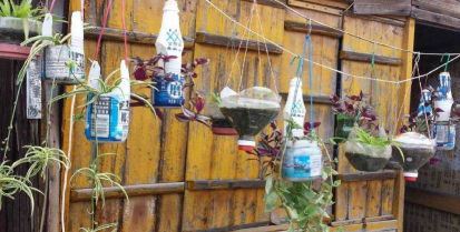 家庭养花用生根粉