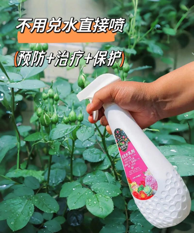 家庭养花用生根粉