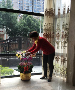 家庭养花用生根粉