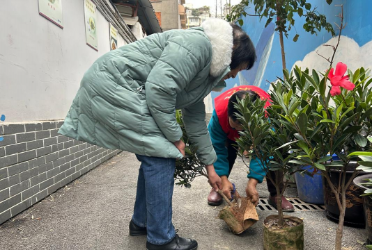 家庭养花用生根粉