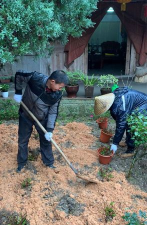 家庭养花用生根粉
