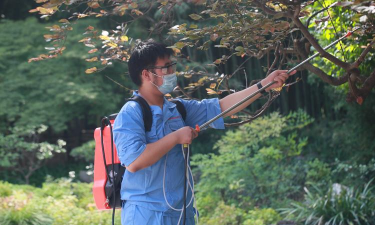 家庭养花用生根粉