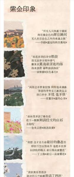 养花莫奈花园文案