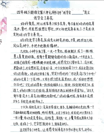 家庭养花用生根粉