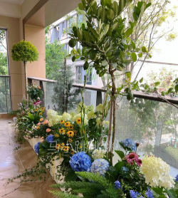 阳台养花莫奈花园