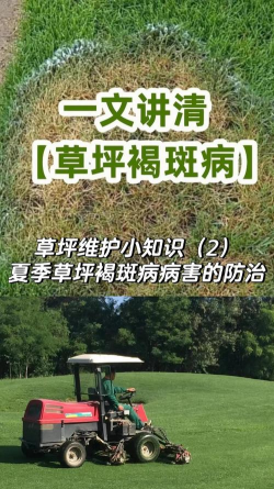 草坪褐斑病的防治 草坪褐斑病的防治
