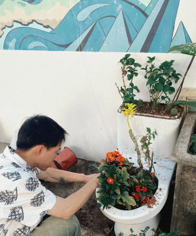 家庭养花用生根粉