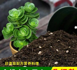 家庭养花用生根粉