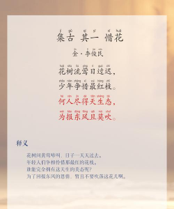 养花弄草诗词