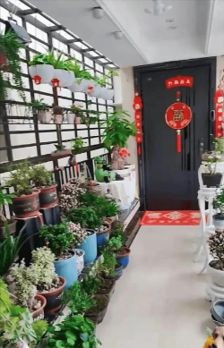 家庭养花用生根粉