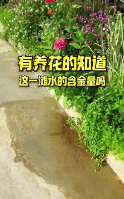养花水有点黄
