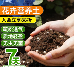 家庭养花用生根粉