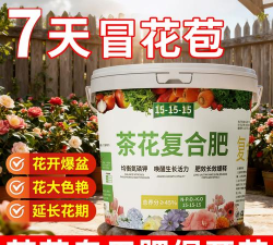 家庭养花用生根粉