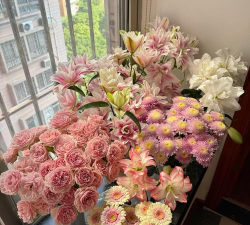 家庭养花用生根粉