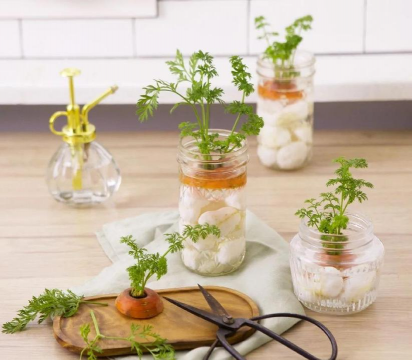 蔬菜发酵水养花