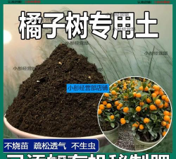 橘子养花肥料