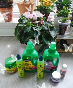 家庭养花用生根粉