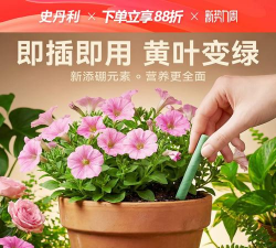 家庭养花用生根粉