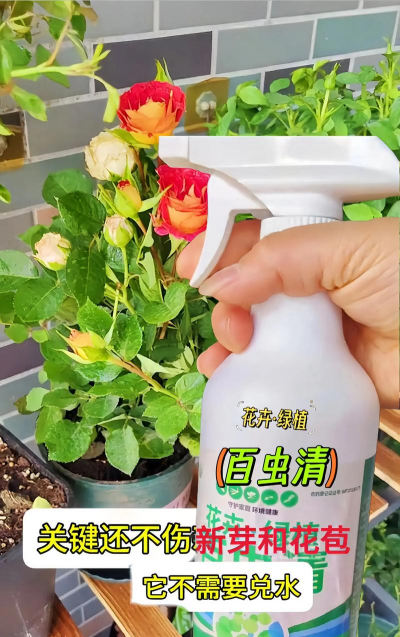 家庭养花用生根粉