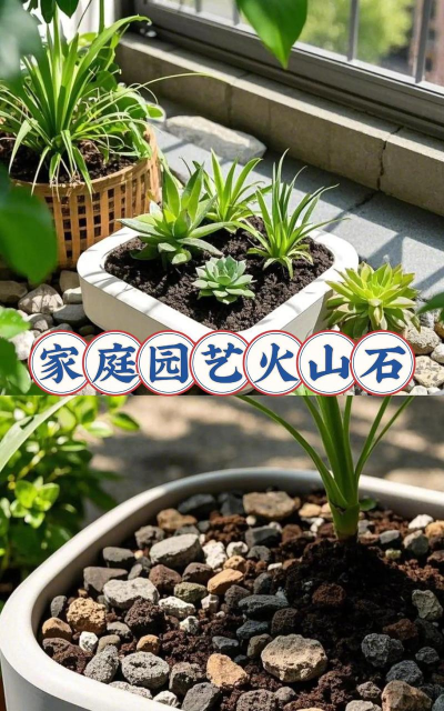 火山石养花吗