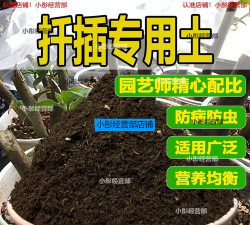 家庭养花用生根粉