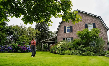 家庭养花用生根粉