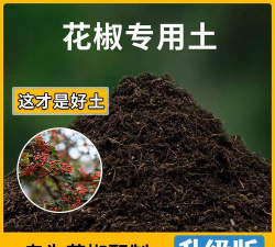 养花椒营养土