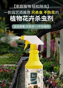 家庭养花用生根粉