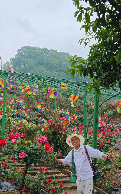 家庭养花用生根粉