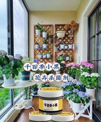 家庭养花用生根粉