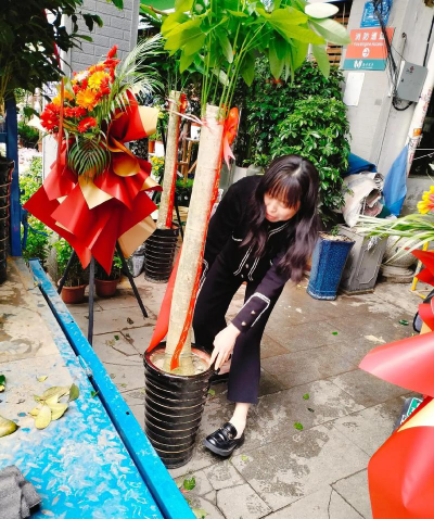 家庭养花用生根粉