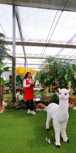 家庭养花用生根粉