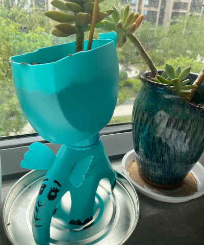 芍药花怎么养，掌握关键要点，花开更鲜艳