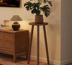 芍药花怎么养，掌握关键要点，花开更鲜艳