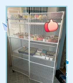 柿树虫病防治，识别常见虫害，掌握有效方法