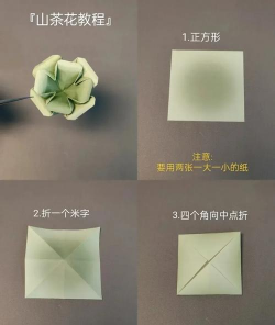 柿树虫病防治，识别常见虫害，掌握有效方法