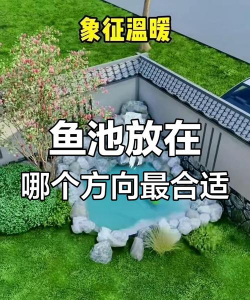 柿树虫病防治，识别常见虫害，掌握有效方法