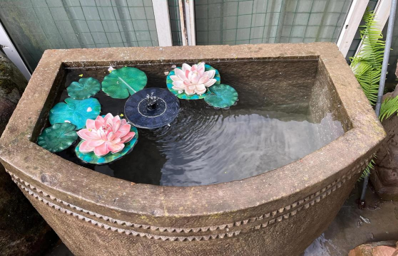 养鱼养花石门海