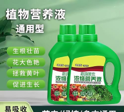 庭院景观绿化设计，打造舒适空间，提升生活品质