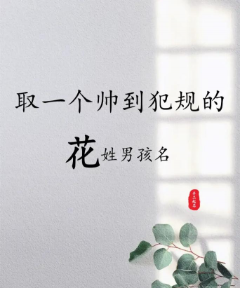 庭院景观绿化设计，打造舒适空间，提升生活品质