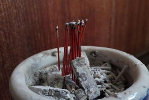 无土栽培技术，突破土壤限制，开启高效种植新篇章