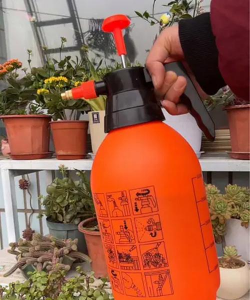 无土栽培技术，突破土壤限制，开启高效种植新篇章