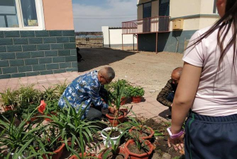 家庭养花用生根粉