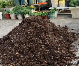 家庭养花用生根粉