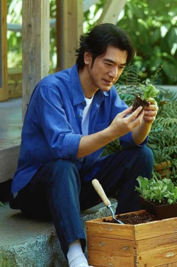 家庭养花用生根粉