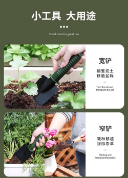 绯花玉怎么养，掌握关键技巧，轻松养出好状态