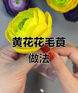 黄黏土怎么养花